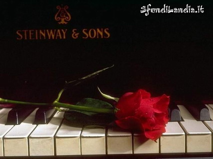 rosa, pianoforte, musica, note, spartiti