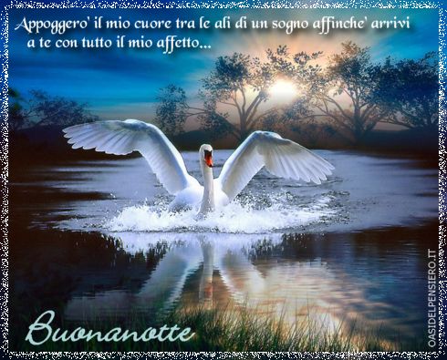 affetto, sentimento, volare, distanza, raggiungere