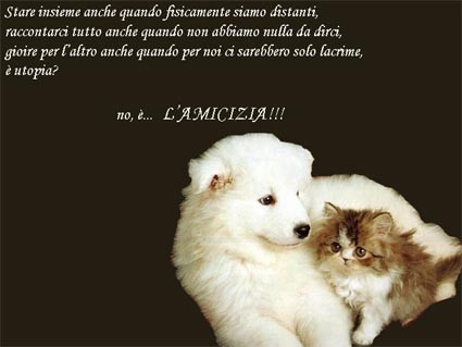 cartolina amicizia, distanza, lacrime, passione, condividere, raccontare, racconto, esprimere, noi due insieme, sentimenti, condividere