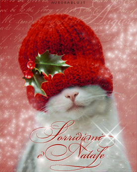 cartoline natale, felicit, gioia, gaiezza, brio, cappello, zuccotto, pungitopo, agrifoglio, vischio, gatto, sguardo, dolce