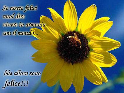 felice, gioia, mondo, sereno, ape, girasole, nascita, risveglio, sole, seguire, raggio, luce, vita, nettare, polline, impollinare, naturale