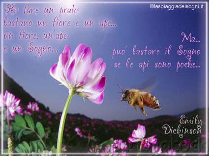 per fare prato, basta, sogno, api, poche, voglia, immaginare, immaginazione, creare, mentale