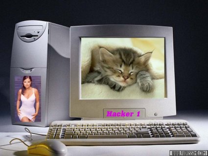 Foto, donna, sexy, gatto, desktop, pc, hacker, tastiera, mouse, lcd, monitor