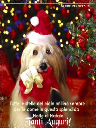 zampe, quattro, mms, simpatico, regalo, fiocco, neve, cane, telefonino, umts, scheda, auguri, card, sim