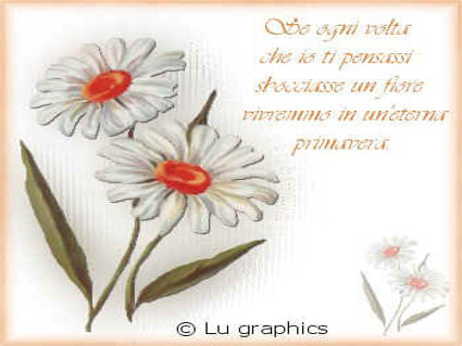 primavera, eterna, fiori, passione, riflettere, sentimento