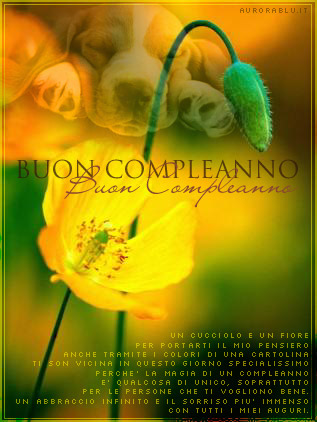 cartoline auguri buon compleanno, cucciolo, fiore, pensieri, specialissimo, giorno unico, bene, sorriso immenso