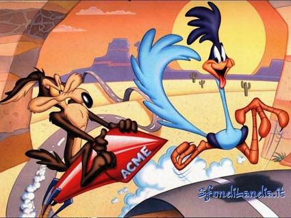 RoadRunner, will e coyote, warner bross, cartoni, bip bip, beep beep, sfortunato, acme