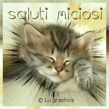 ciao, saluto, cartolina saluto, gatto, sfondo, mms, wap, logo, scaricare, inviare, email, mail, e-mail