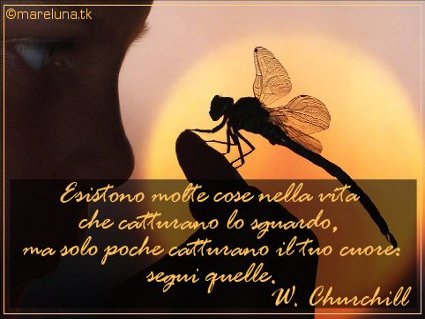 frase, celebre, churchill, aforisma, importanza, diletto, prosa