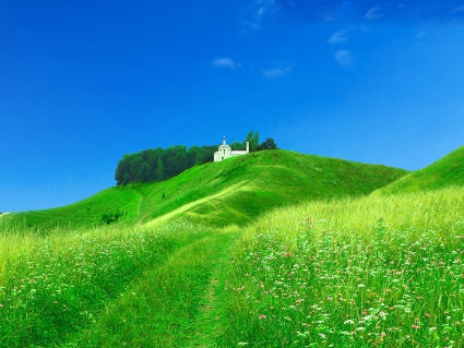 prati, verde, sereni, pascoli, chiesa, passeggio, ruote