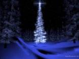 stella, natale, cometa, albero, scia, luminosa, regali, festeggiamenti, santo, neve, amore, gioia, xmas