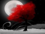 digital art, albero, rosso, luna piena, notte, arte digitale