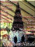 albero, stazione termini, speranze, lettere, richieste, amore, appendere, bebbo natale, auguri, scrivere, letterina, letterine, lettere, sentimento,