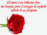 lottare, desiderare, amare, prendere, corteggiare