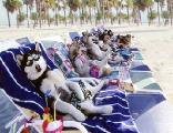 cane, cani, husky attori, star, riposo, spiaggia, mare, cocktail, sdraio, ombrelloni, occhiali da sole