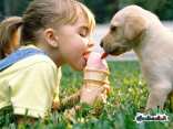 cane, bambina, fresco, lingua, leccare, sapore, gelato, gusto