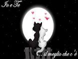 amore, san valentino, affetto, mici, notte, cuore, rosso, auguri