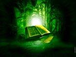 libro, fantasy, verde, foresta, cultura, pozioni, sortilegi, stregonerie, incantesimi