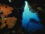 sotto, marino, grotta, marina, colorati, bolle, aria, pinne, areatore, bombola, boccaglio, maschera, sub, palombaro, muta, coralli, alghe